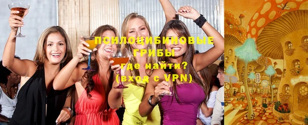 сатива Алексеевка