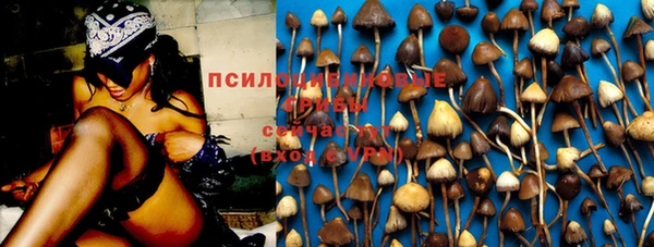 a pvp Алзамай