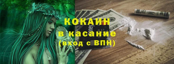 сатива Алексеевка