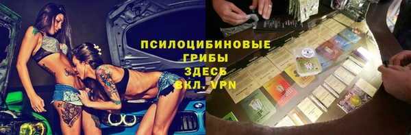 сатива Алексеевка