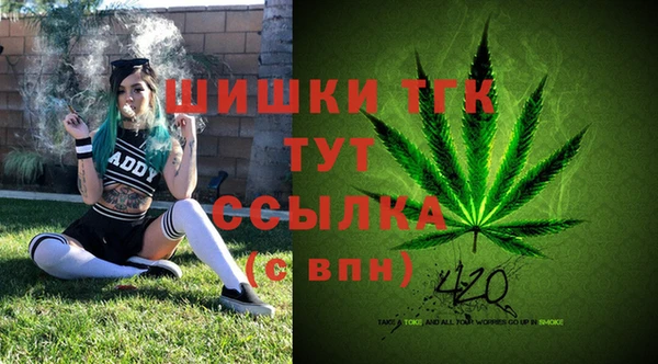 сатива Алексеевка